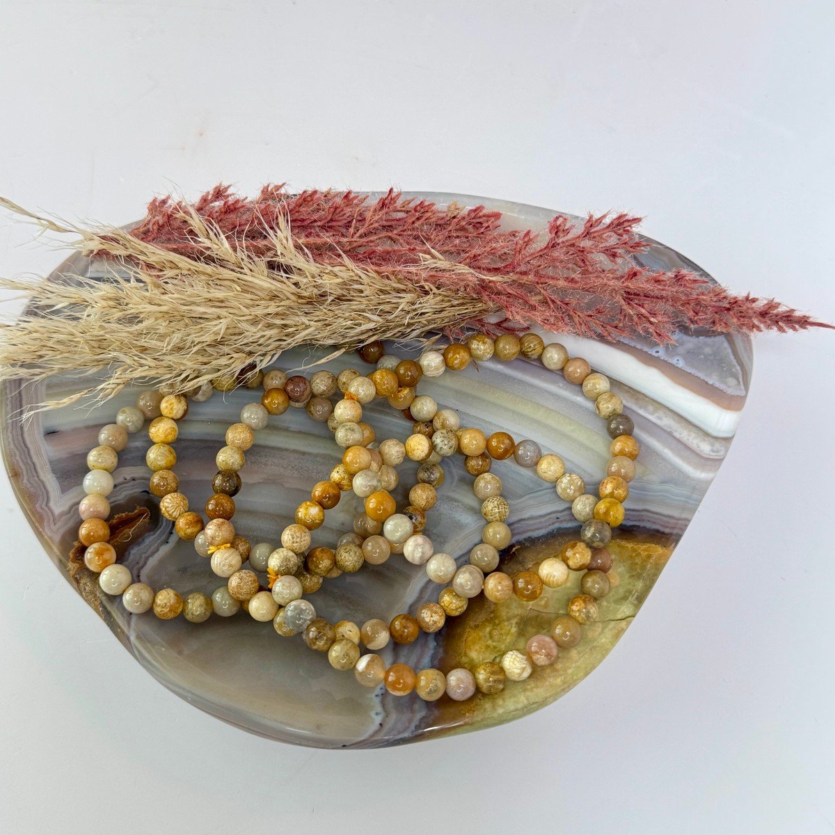 6mm Fossilized Coral Bracelet