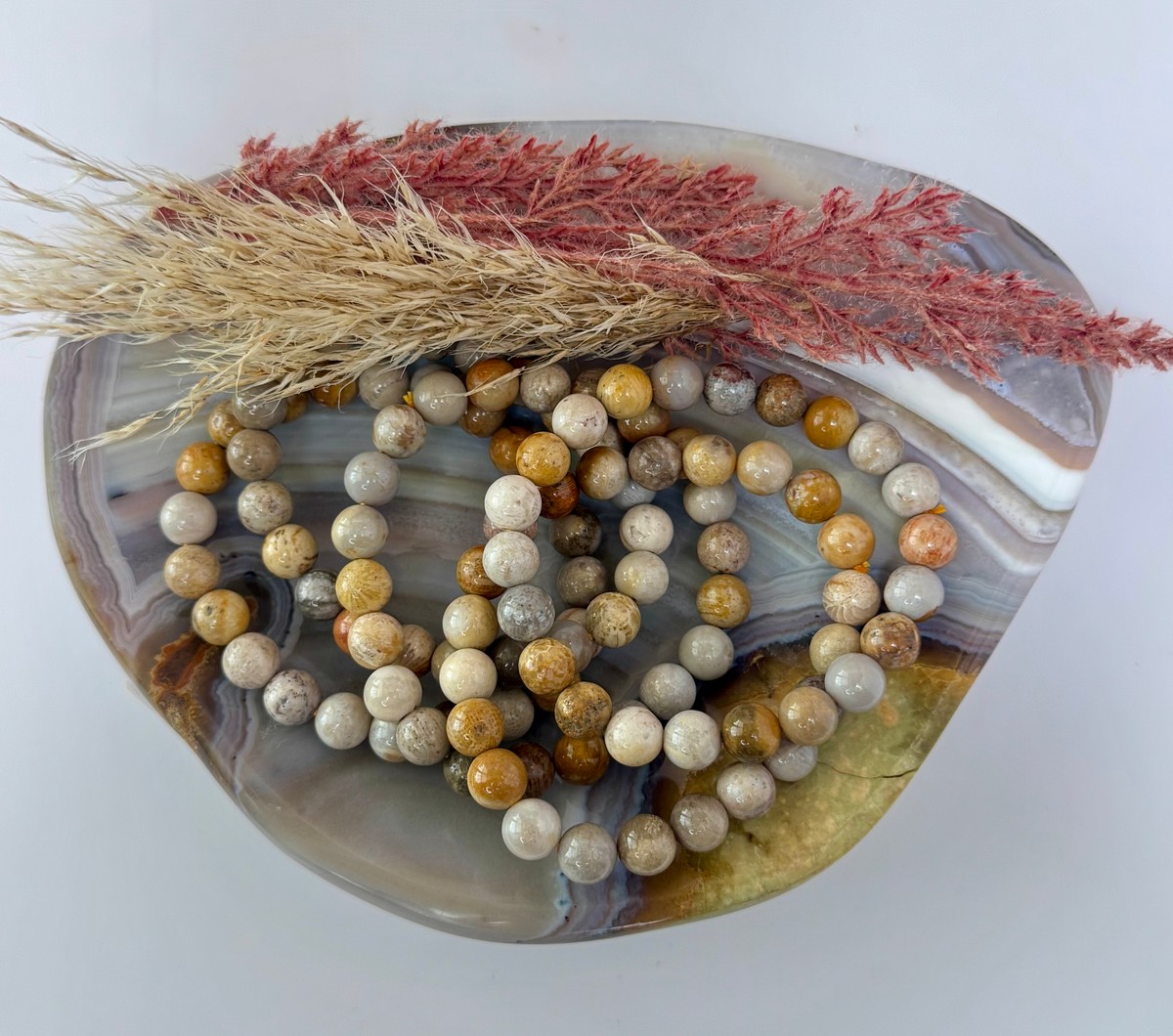 8mm Fossilized Coral Bracelet