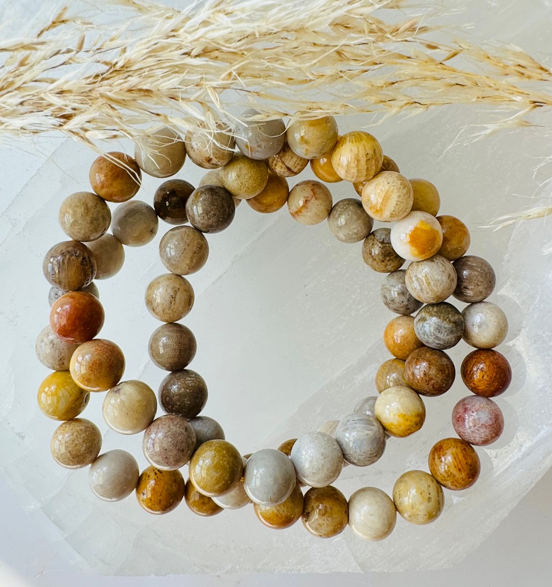 8mm Fossilized Coral Bracelet