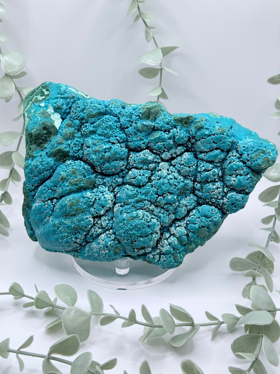Malachite & Chrysocolla - Congo