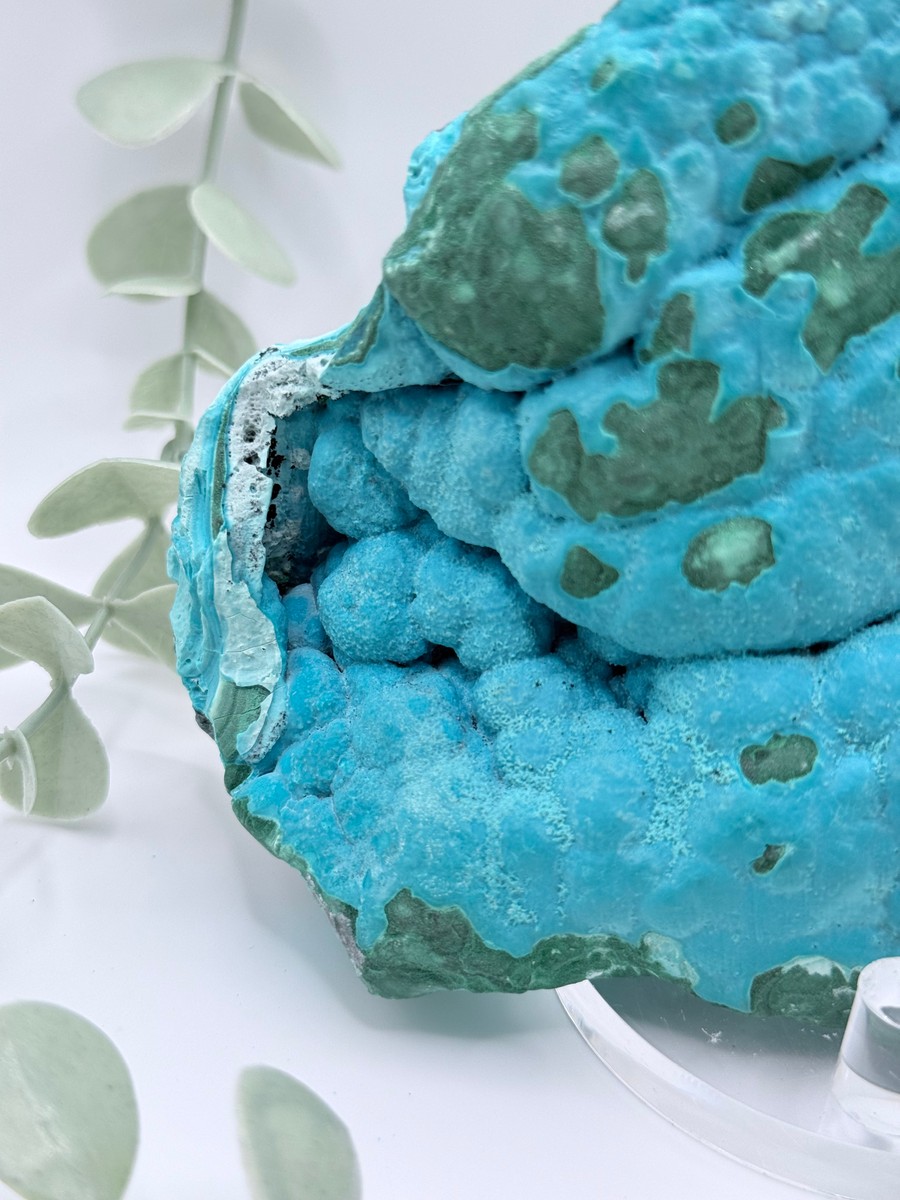 Malachite & Chrysocolla - Congo