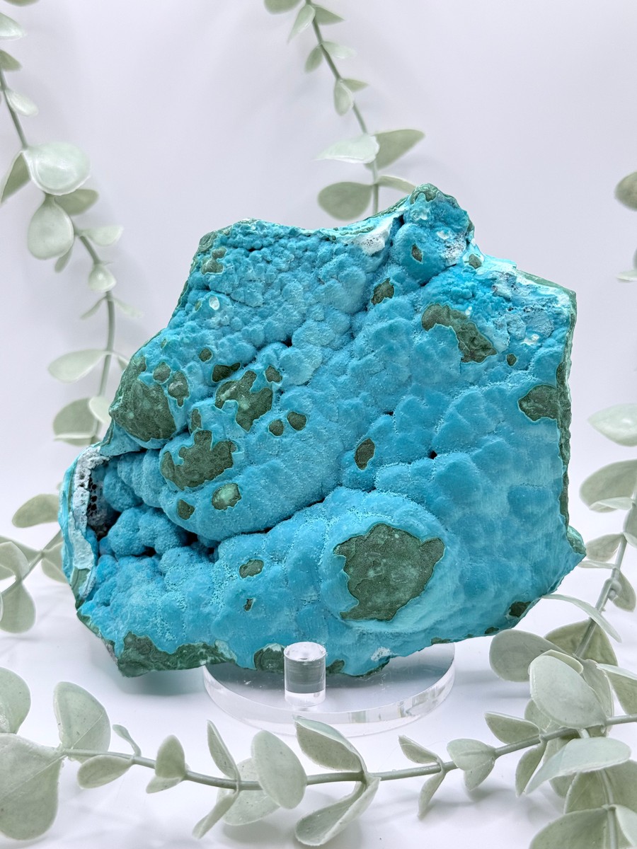Malachite & Chrysocolla - Congo