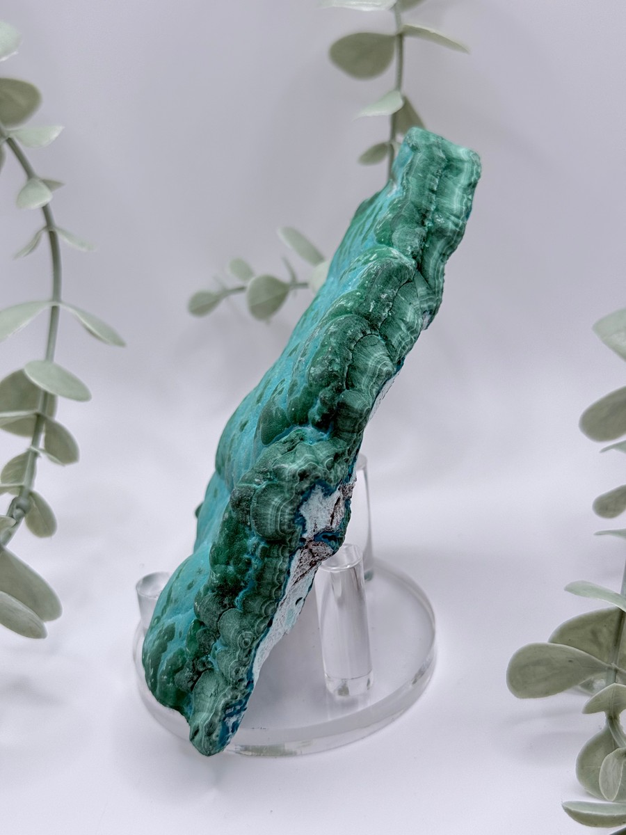 Malachite & Chrysocolla - Congo