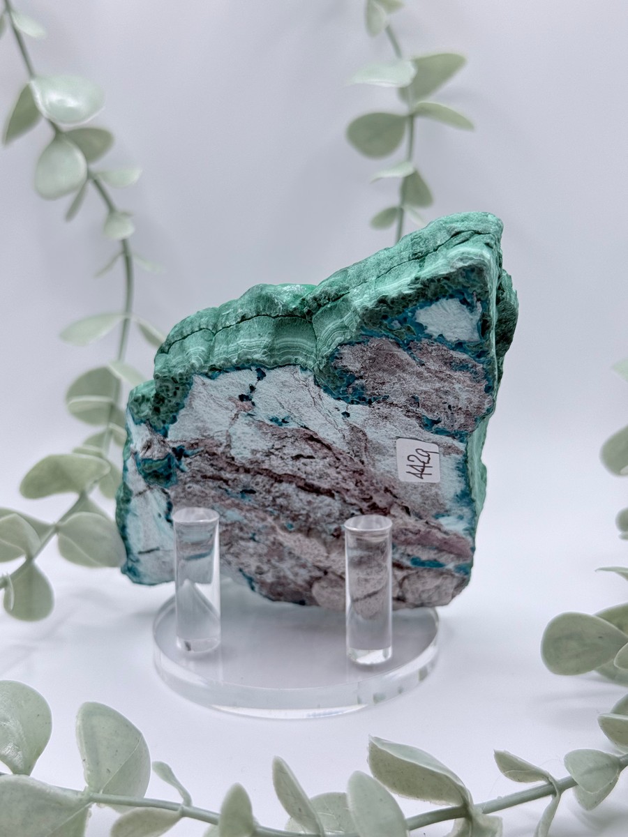 Malachite & Chrysocolla - Congo