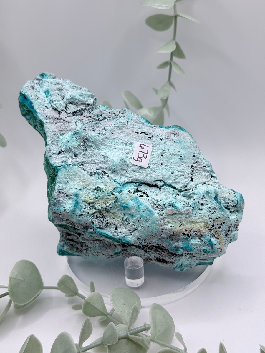 Malachite & Chrysocolla - Congo
