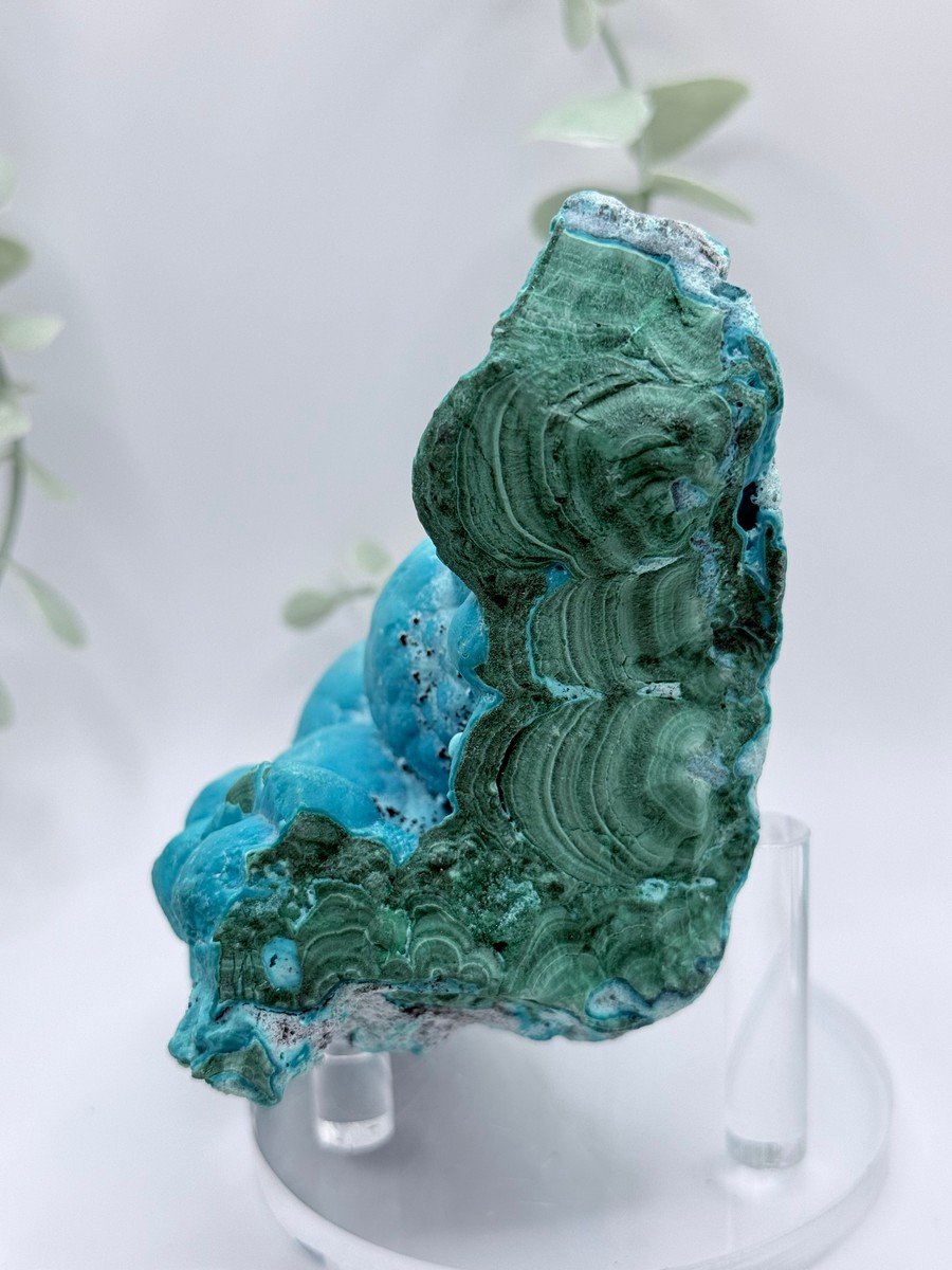 Malachite & Chrysocolla - Congo