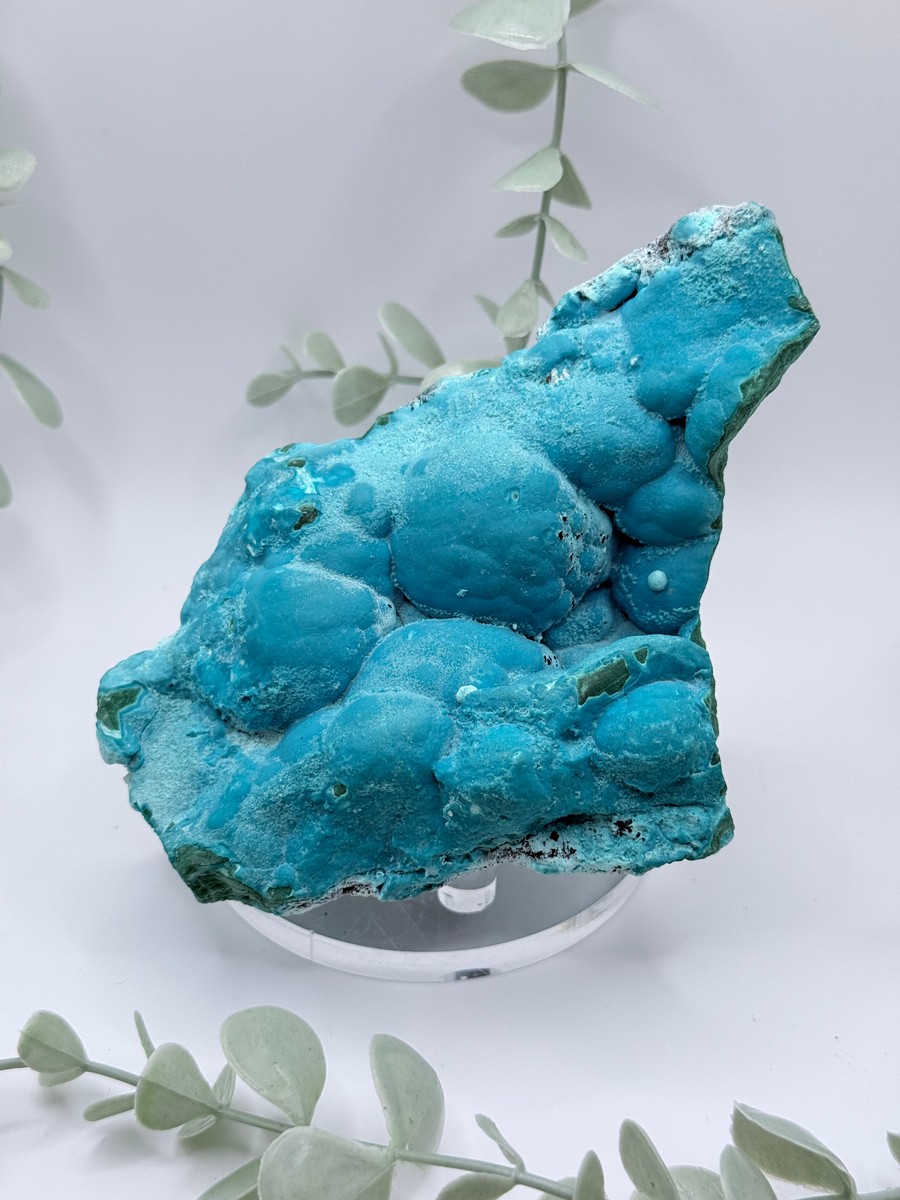 Malachite & Chrysocolla - Congo