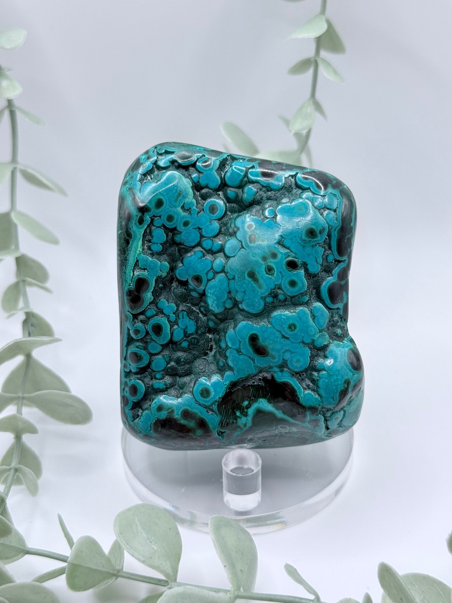 Polished Malachite & Chrysocolla - Congo