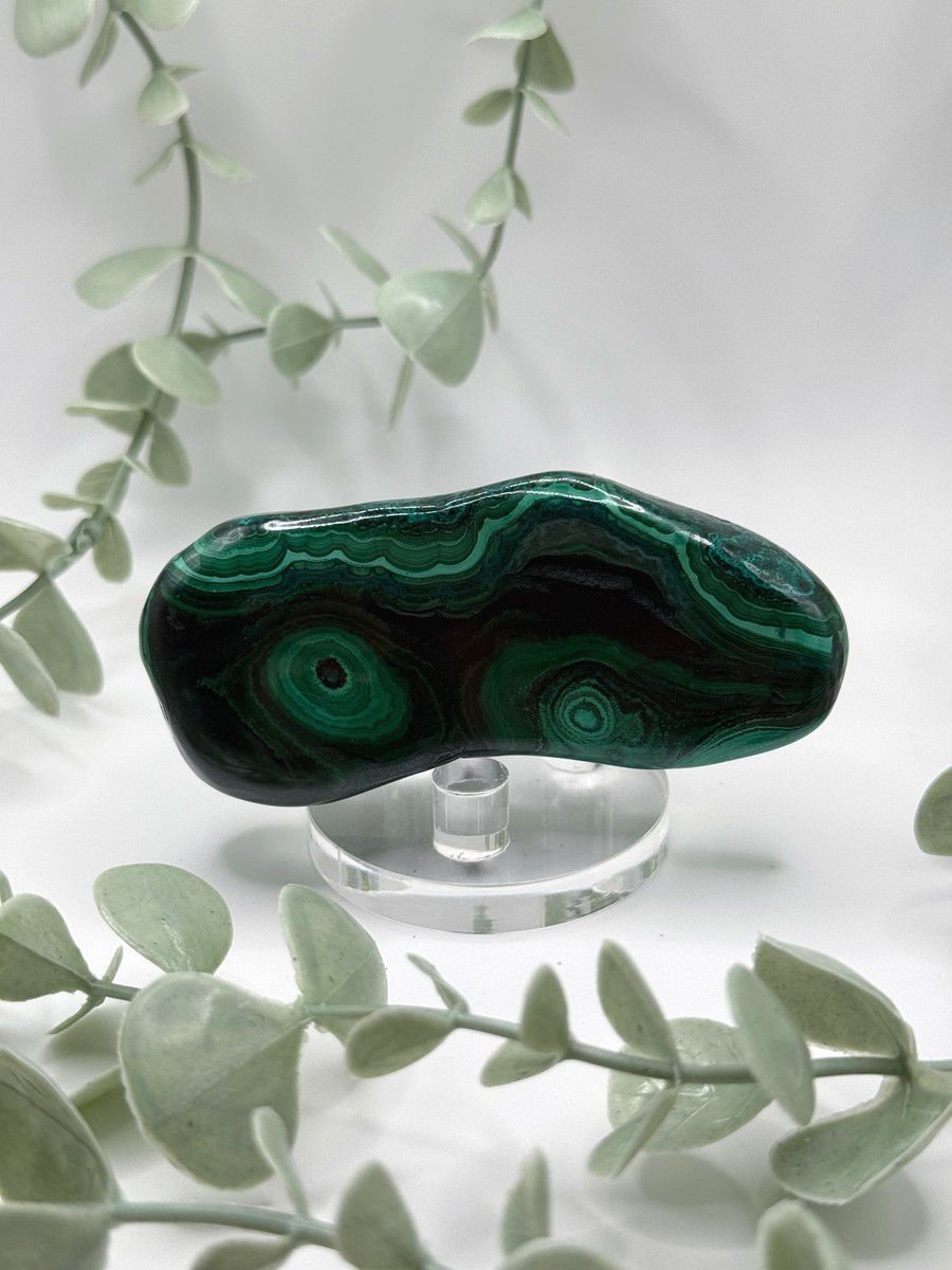 Polished Malachite - Congo - Amanda