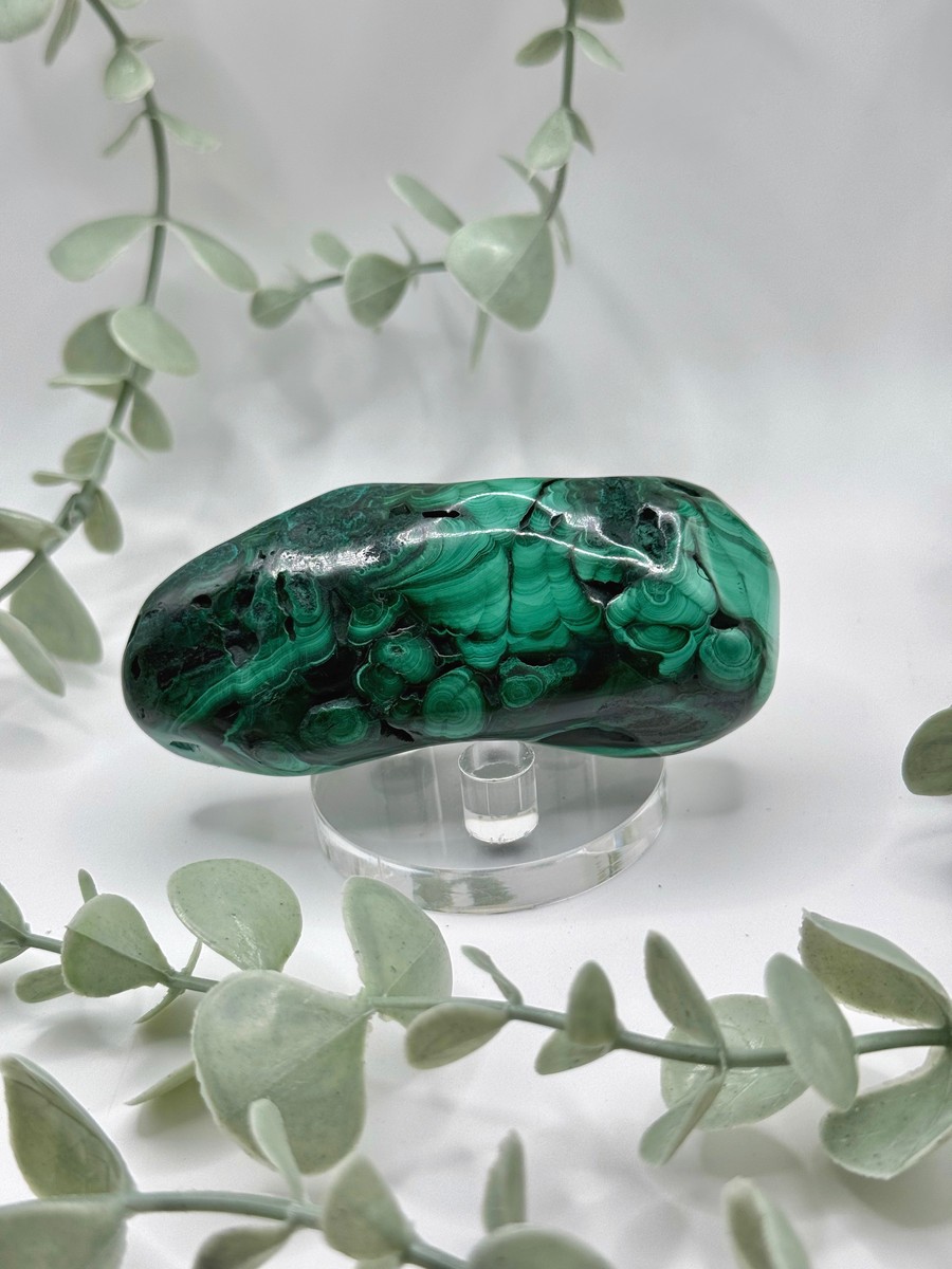Polished Malachite - Congo - Amanda