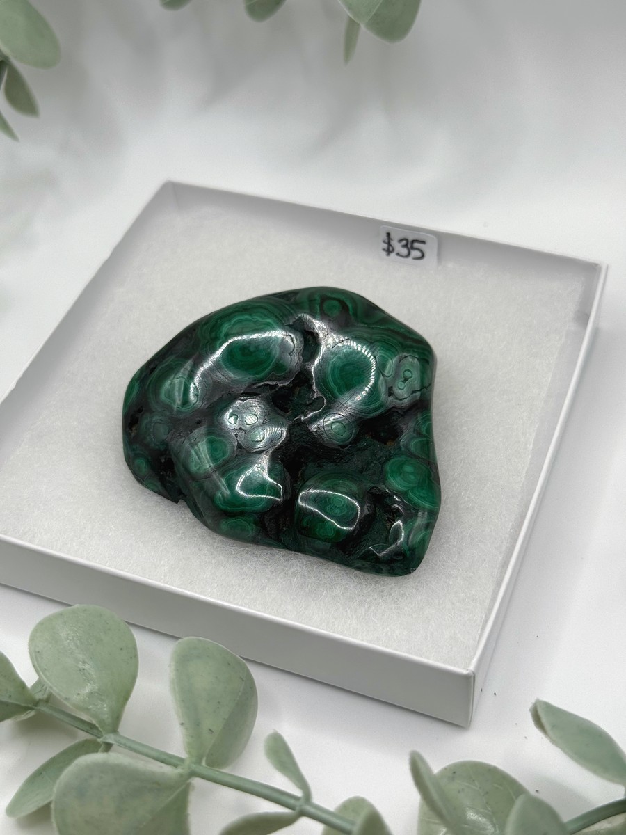 Polished Malachite - Congo  Amanda