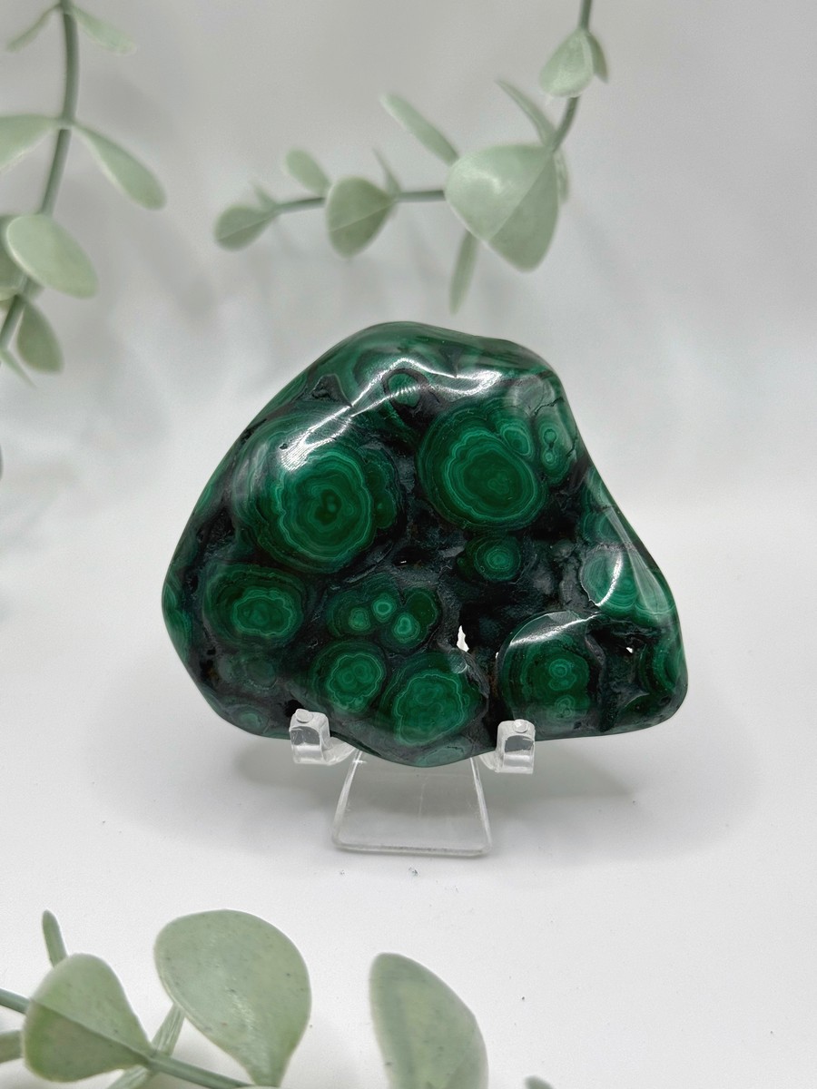 Polished Malachite - Congo  Amanda