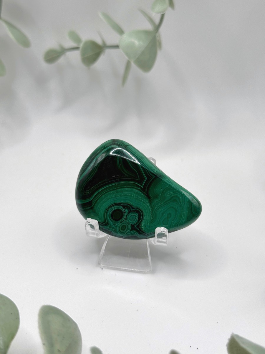 Polished Malachite - Congo  Amanda