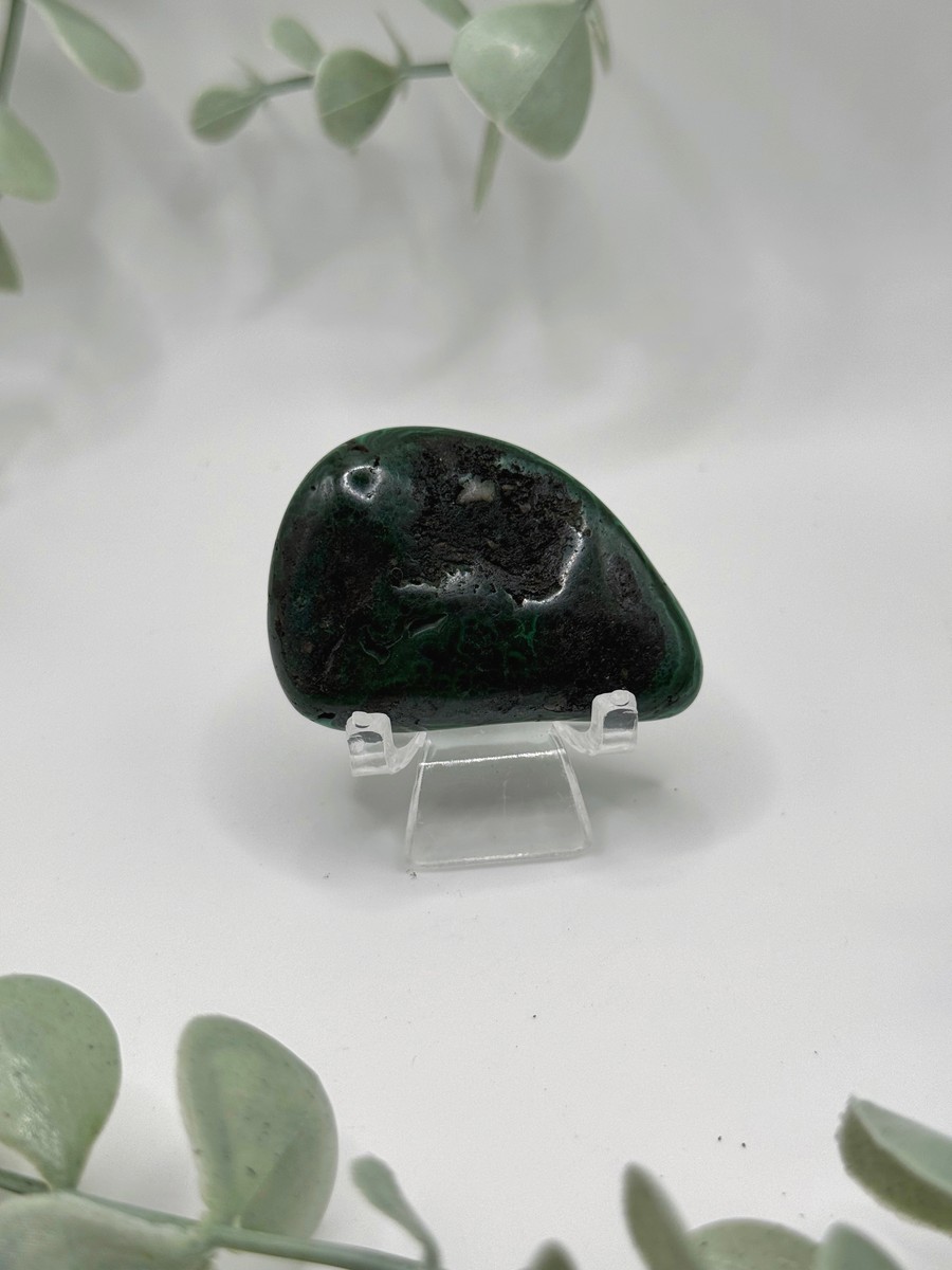 Polished Malachite - Congo  Amanda