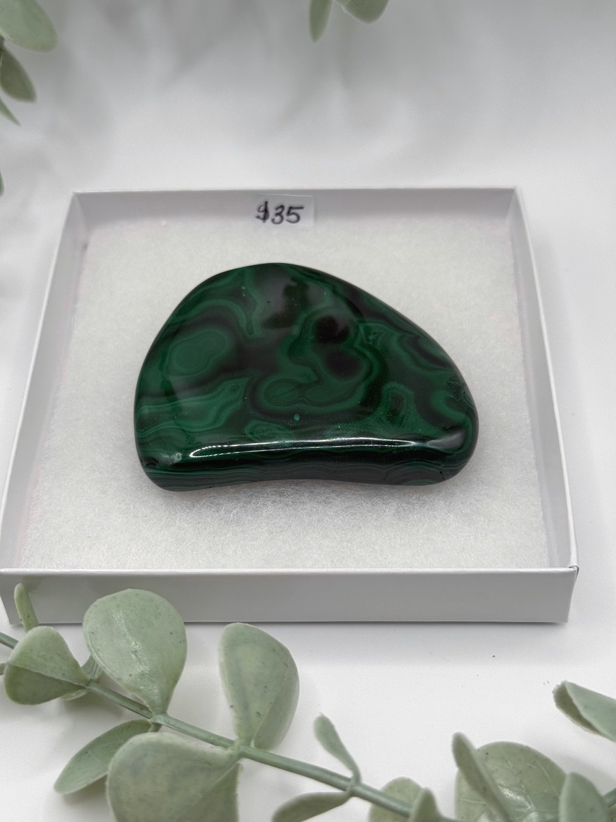 Polished Malachite - Congo  Amanda