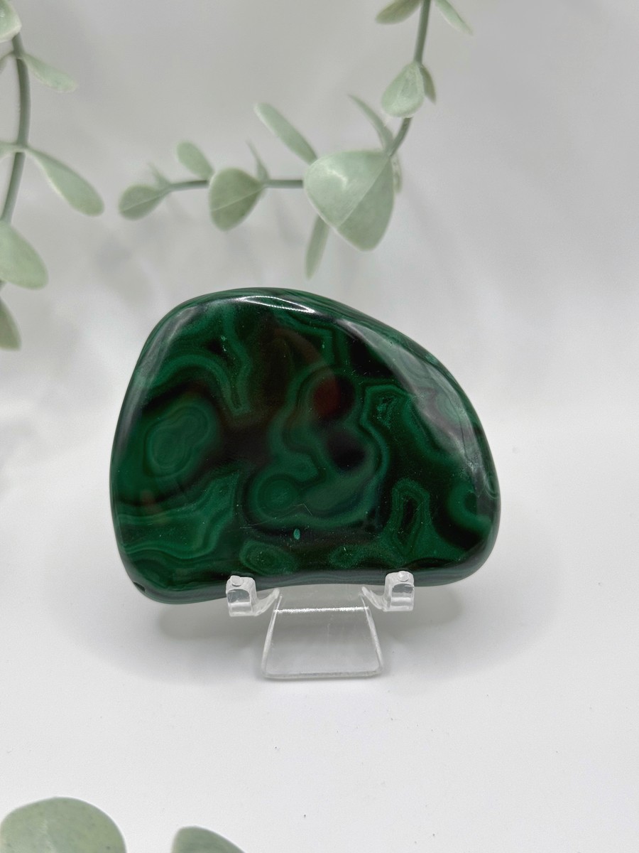 Polished Malachite - Congo  Amanda