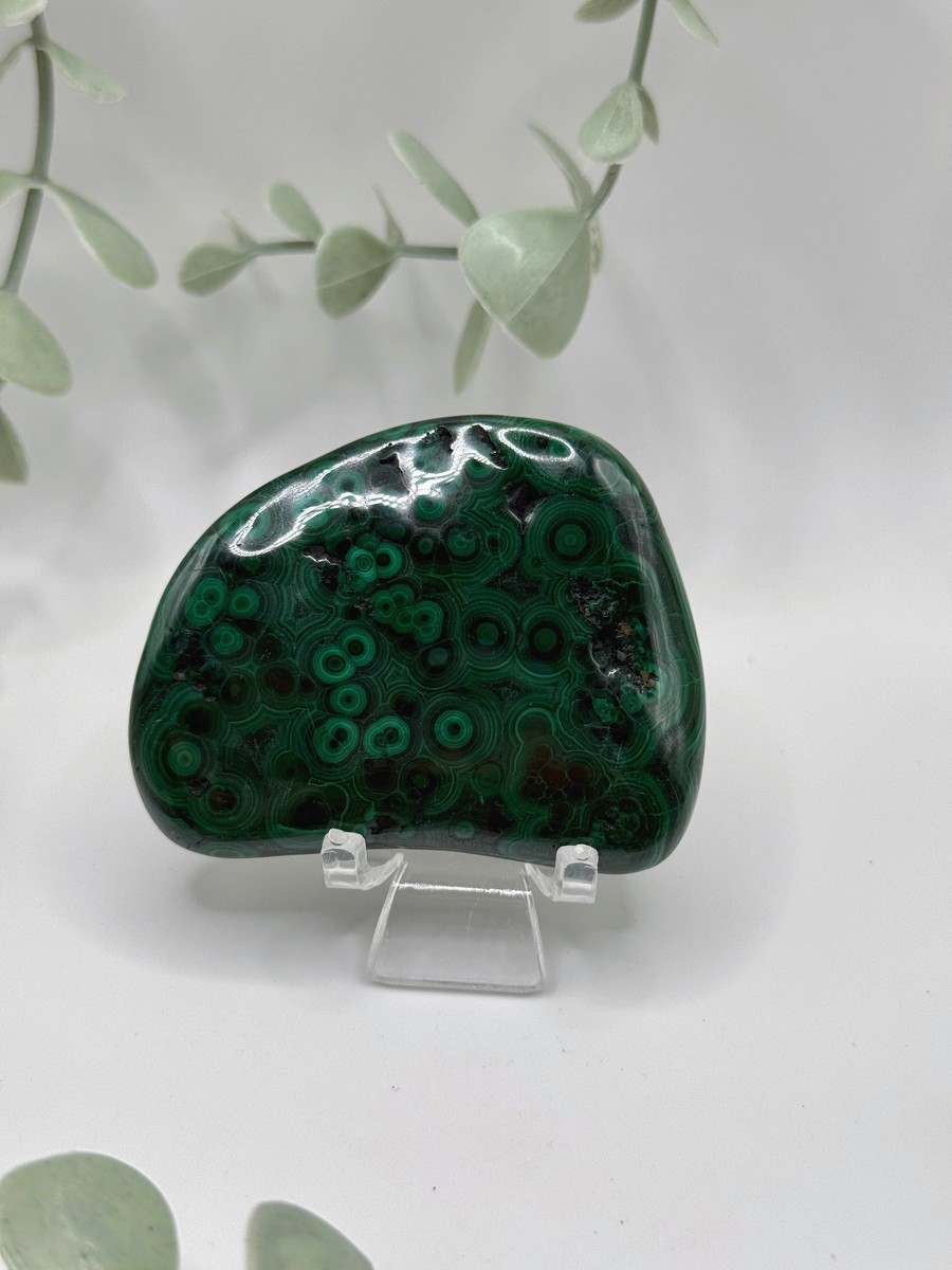 Polished Malachite - Congo  Amanda