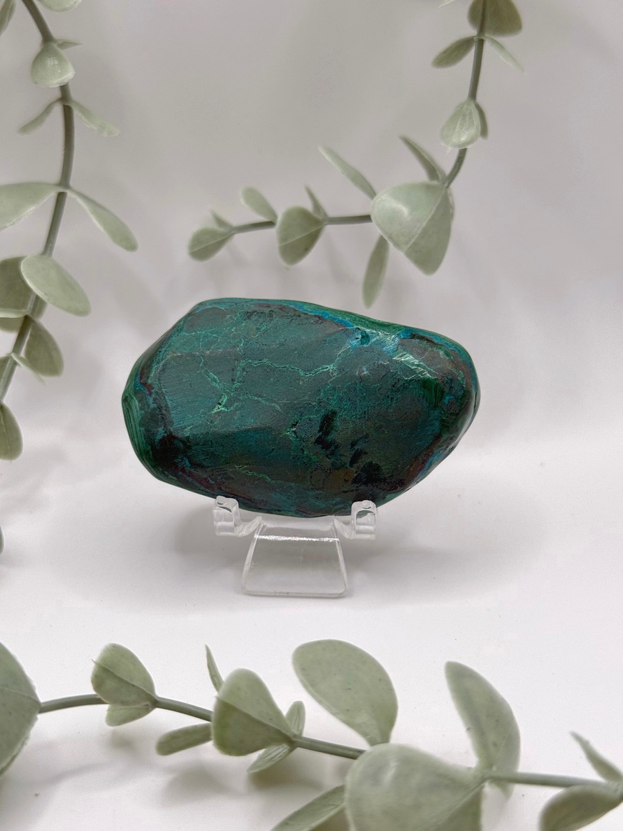 Polished Malachite - Congo Amanda