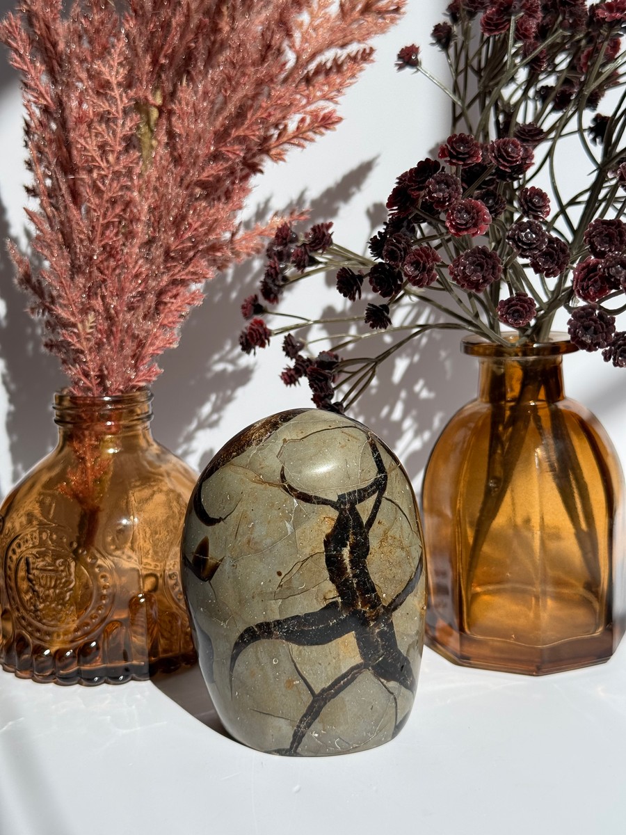 Septarian Freeform