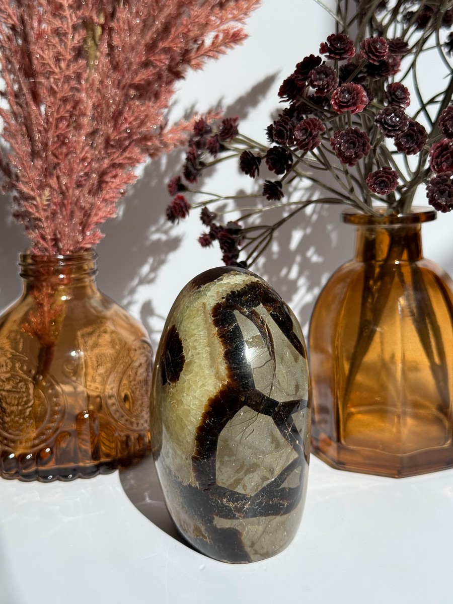 Septarian Freeform