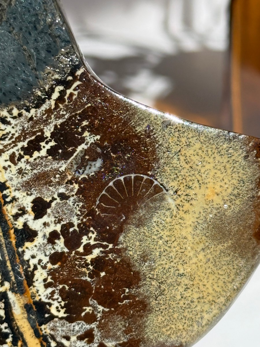Picture Jasper Moon