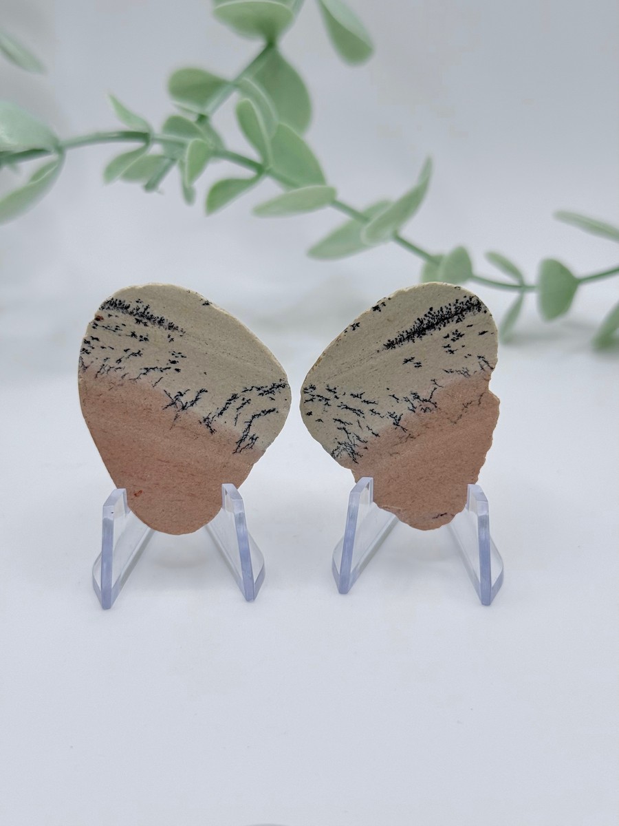 Dendritic Jasper Pairs - Amanda