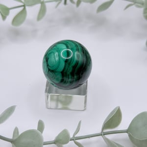 Small Malachite Sphere - Congo Amanda