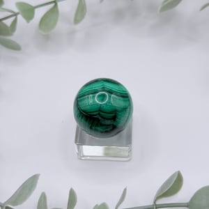 Small Malachite Sphere - Congo Amanda