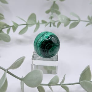Small Malachite Sphere - Congo Amanda