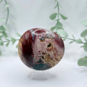 Petrified Wood