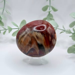 Petrified Wood