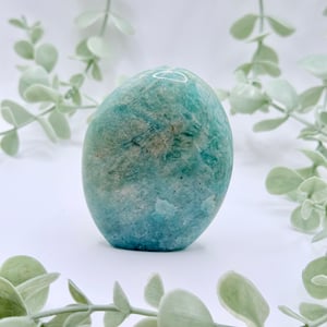Amazonite Freeform