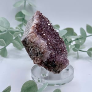 Alacam Amethyst  Amanda