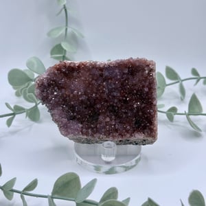Alacam Amethyst  Amanda