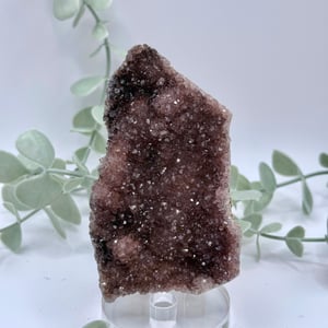 Alacam Amethyst Amanda