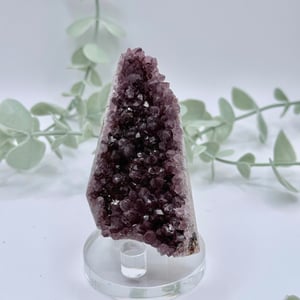 Alacam Amethyst  Amanda