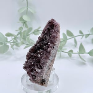Alacam Amethyst  Amanda