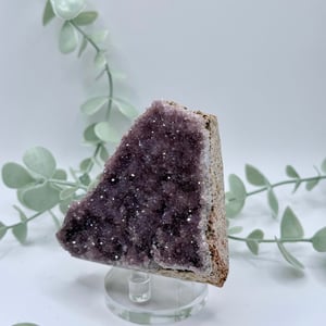 Alacam Amethyst  Amanda