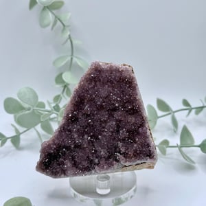 Alacam Amethyst  Amanda