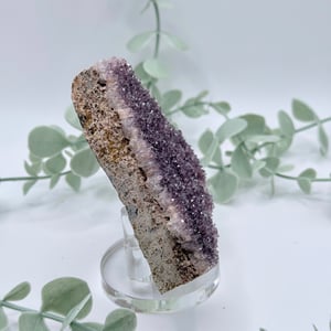 Alacam Amethyst  Amanda