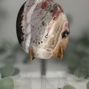 Sea Jasper Palmstone