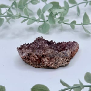 Alacam Amethyst   Amanda