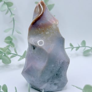 Sea Jasper Flame