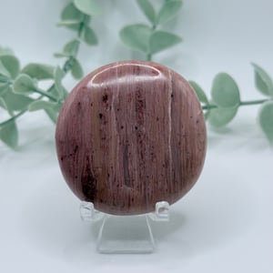 Petrified Wood Cookie