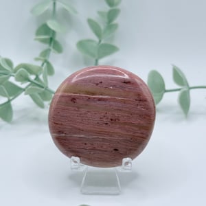 Petrified Wood Cookie