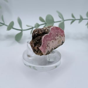 Rhodochrosite Slice