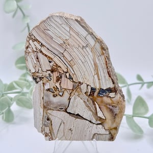 Opalized Breccia Slice