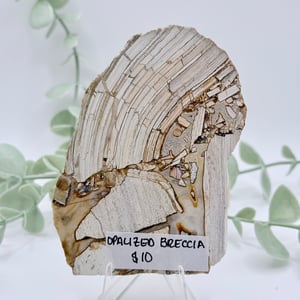 Opalized Breccia Slice