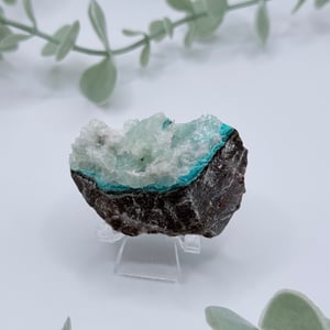 Blue Calcite With Chrysocolla
