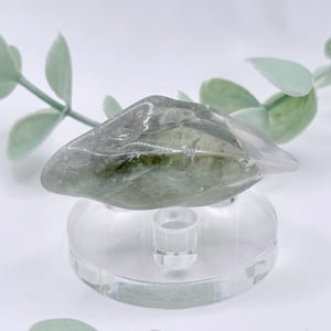 Tumbled Prasiolite